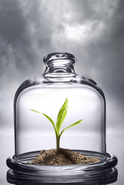 绿芽玻璃帽保护下。环保理念图片下载