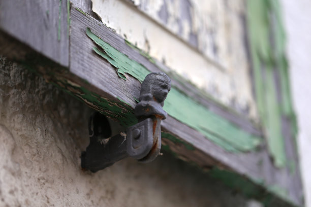 持有人百叶窗图片下载