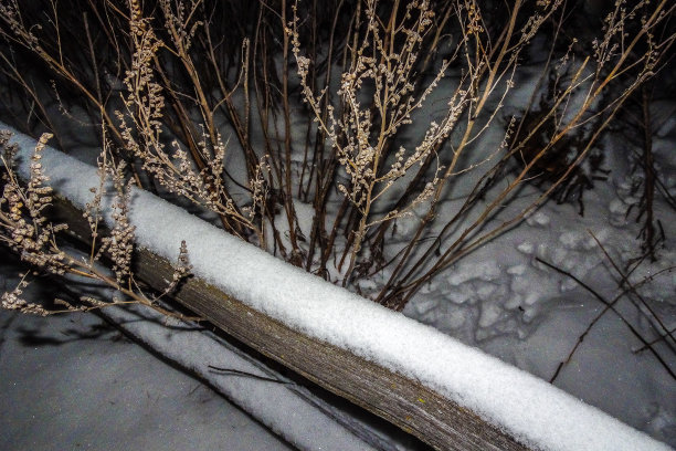 篱笆上的雪图片下载