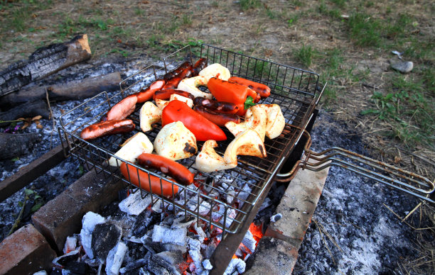 烧烤架上的肉特写镜头图片下载