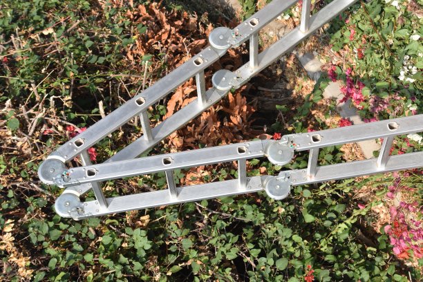 树篱旁的梯子图片下载