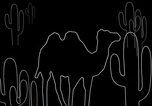 黑色背景霓虹灯骆驼仙人掌造型图片下载