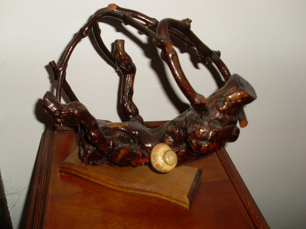 葡萄藤图片下载