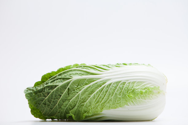 鲜白菜分离图片下载