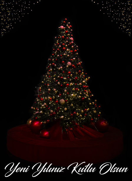 土耳其的圣诞树新年快乐图片下载