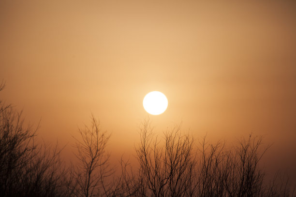 大自然中美丽的日落图片下载