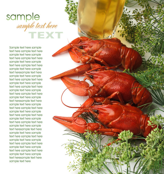 小茴香煮小龙虾图片下载