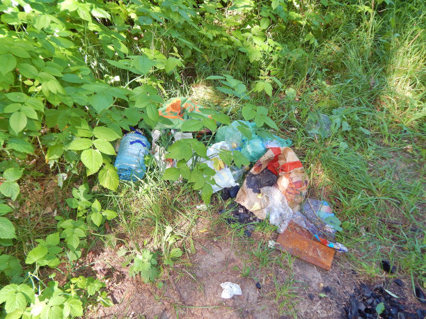 被遗弃的垃圾在森林里图片下载