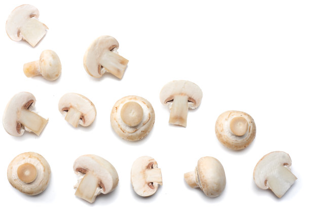 蘑菇孤立在白色背景上。俯视图素材图片