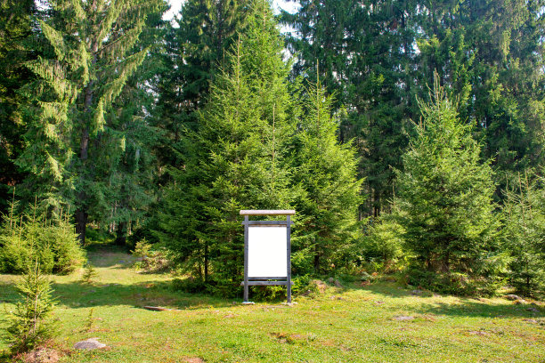 公园里的空白招牌图片下载