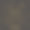 窗帘的概念图片下载