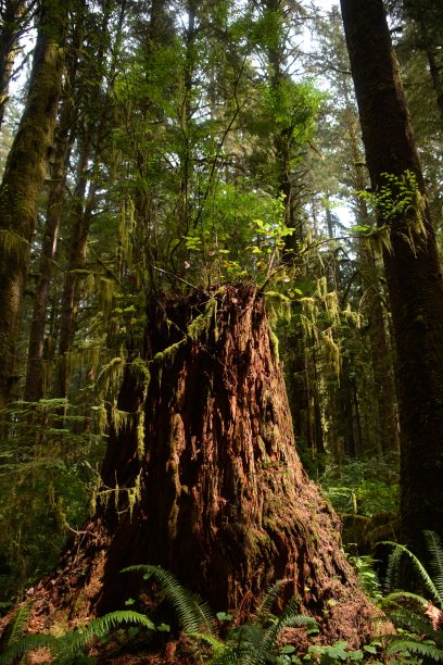 仙女湖图片下载
