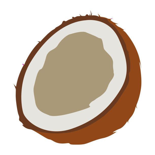孤立的削减椰子图片下载