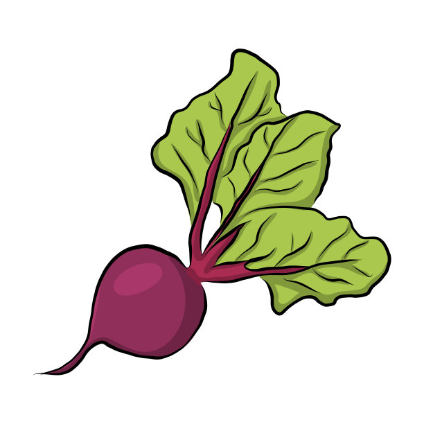 手绘花园甜菜图片下载