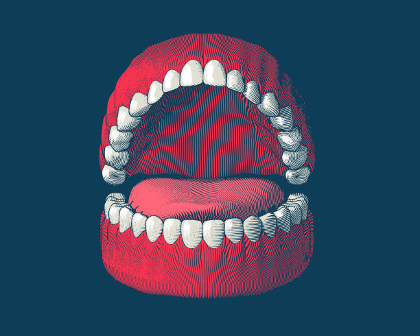牙齿和牙龈雕刻插图素材图片