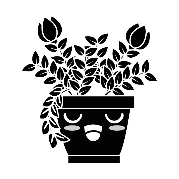 玫瑰室内植物在盆栽卡哇伊性格图片下载