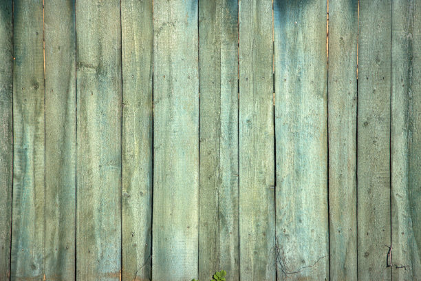 古色古香的绿木纹理与自然的花纹素材图片