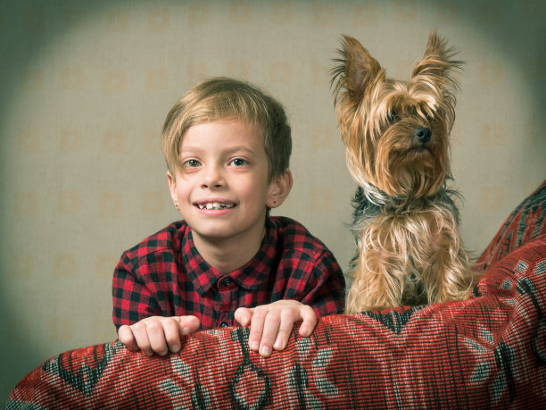 一个小女孩穿着格子衬衫和牛仔裤，微笑地坐在沙发上，她旁边坐着一只纯种狗，背景是统一的背景和晕光图片下载