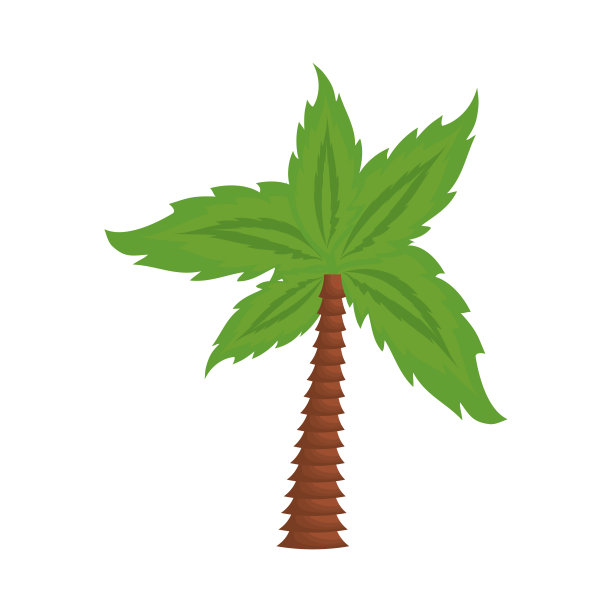 棕榈树的象征图片下载
