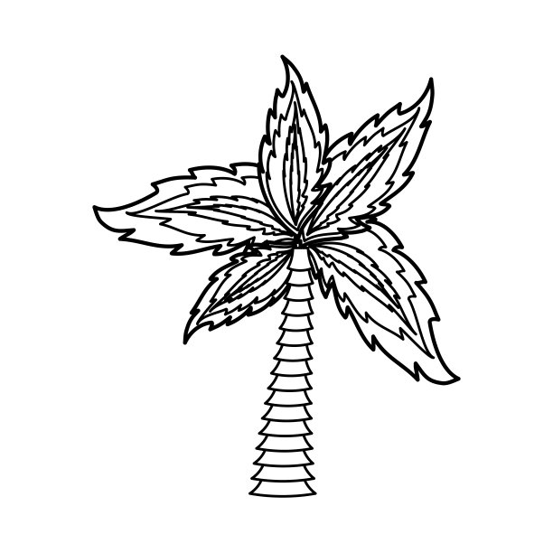 棕榈树的象征图片下载
