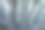 高高的树木倒映在水中图片下载