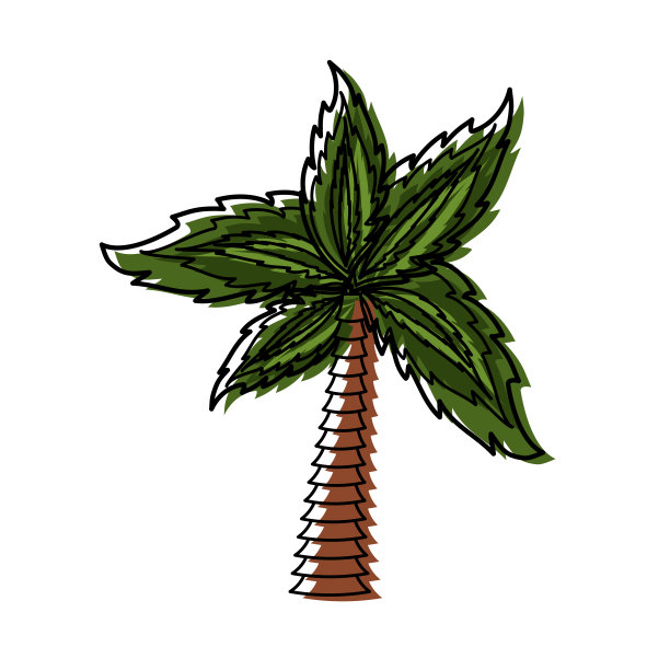 棕榈树的象征图片下载