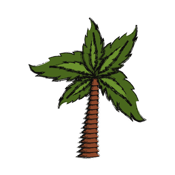 棕榈树的象征图片下载