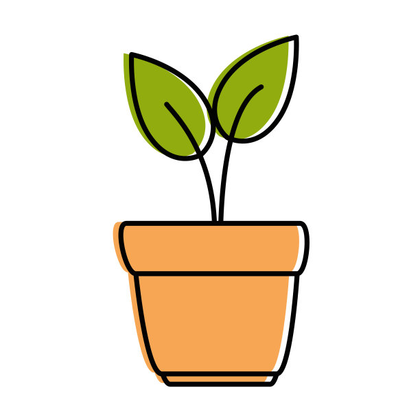 盆栽室内植物图片下载