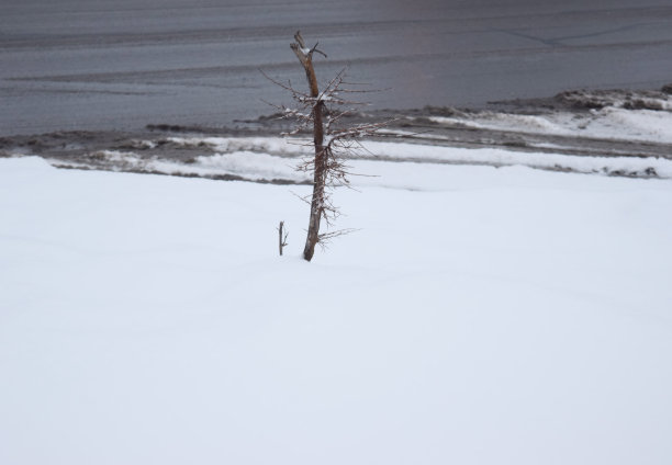 雪上的路和树cr 2017darrelljbanks图片下载