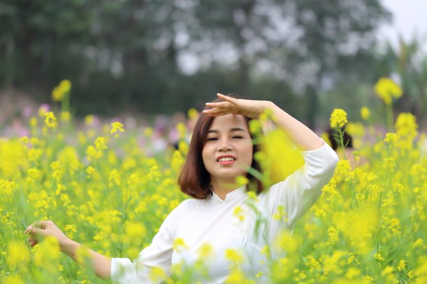 越南的那个穿鄂傣衫的女人图片下载