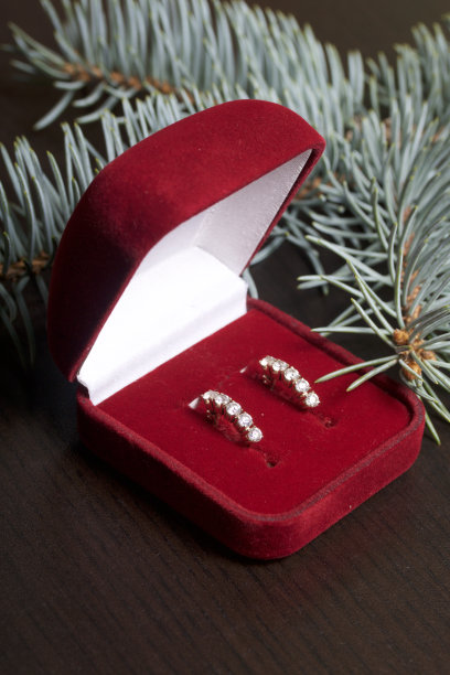 给爱人的礼物。一个开着的红色天鹅绒盒子，上面有金耳环。在黑暗的背景与云杉的树枝。图片下载