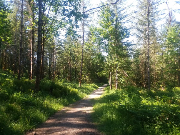 美好的生活图片下载