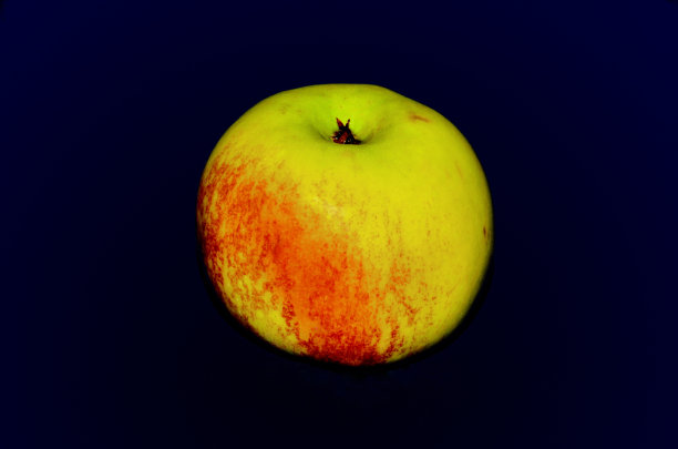 深蓝背景上的苹果特写图片下载