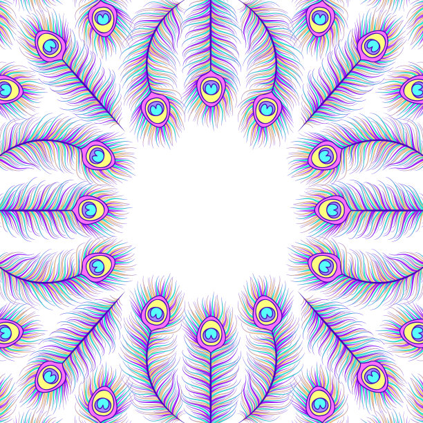 彩色的孔雀羽毛卡片图片下载