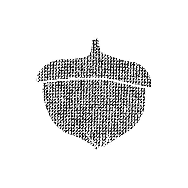 矢量纹理橡子图片下载