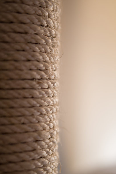 包装绳卷图片下载