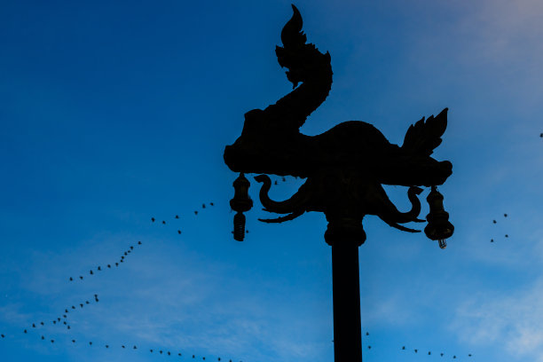 蛇灯杆的剪影，鸟的飞翔，美丽的蓝天。图片下载