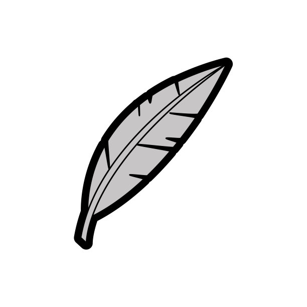 孤立的羽毛设计图片下载