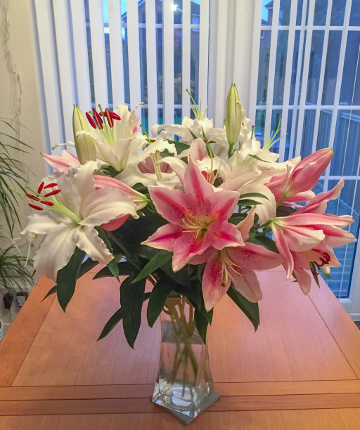 木桌上花瓶里装着五颜六色的百合花。图片下载