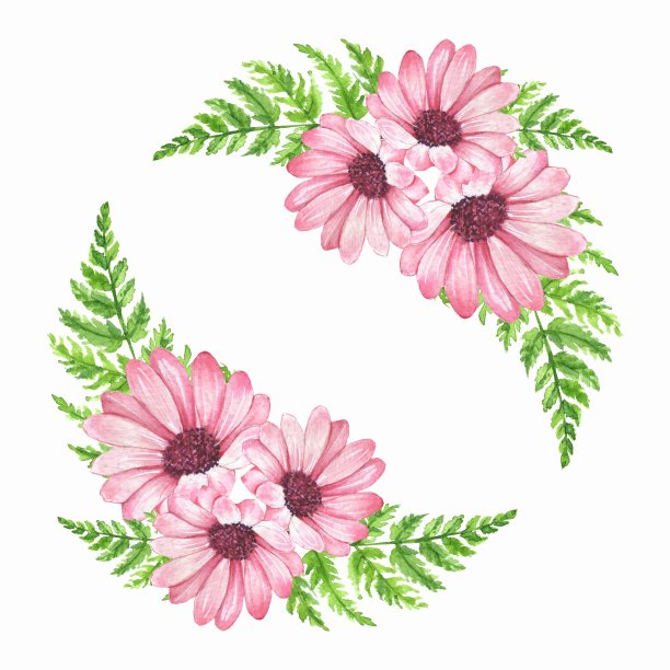 水彩花。为设计元素。架,花环图片下载