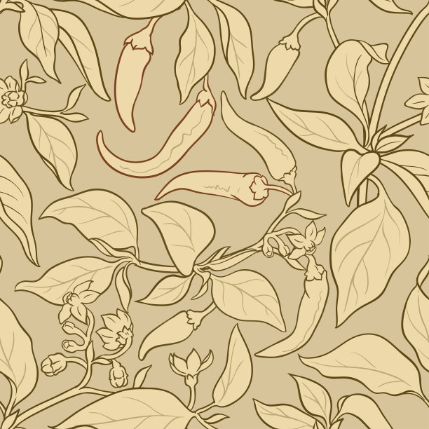 辣椒模式图片下载