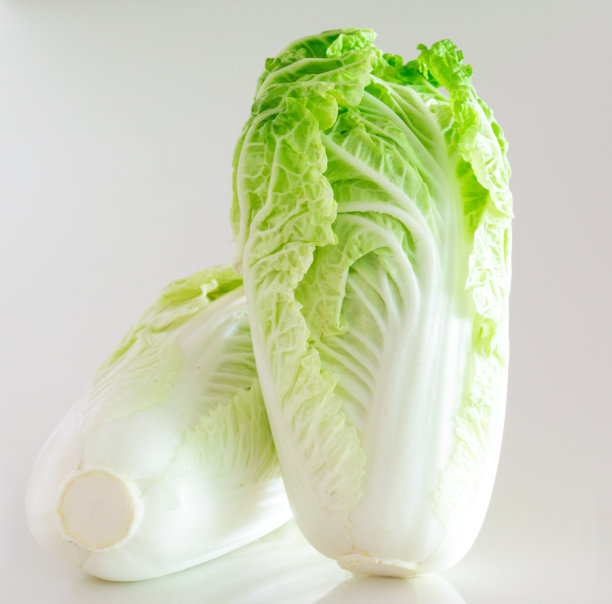 白色背景上的新鲜白菜图片下载