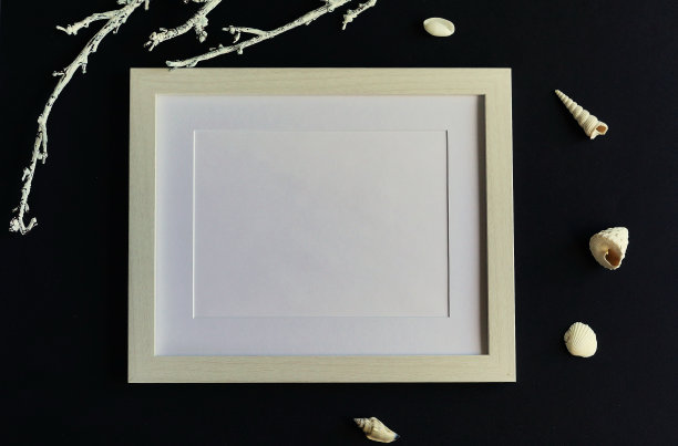 海报框架模型，俯视图，贝壳在黑色背景。平的。本空间图片下载