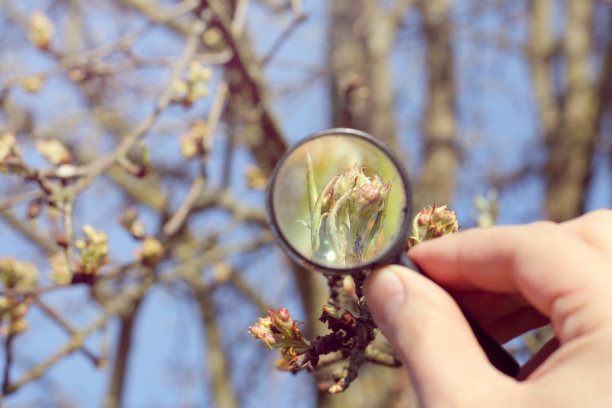 植物生长控制图片下载