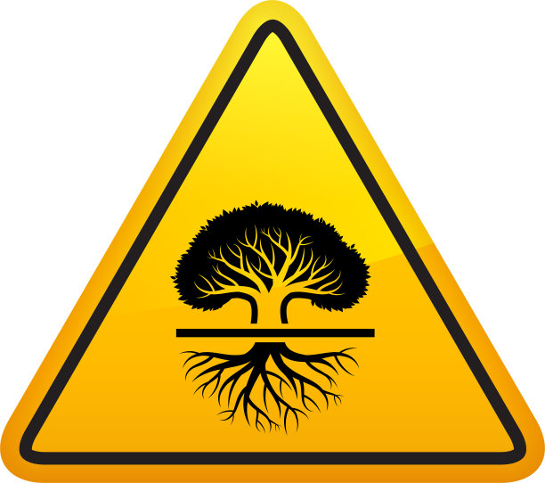 高大的老橡树。图片下载