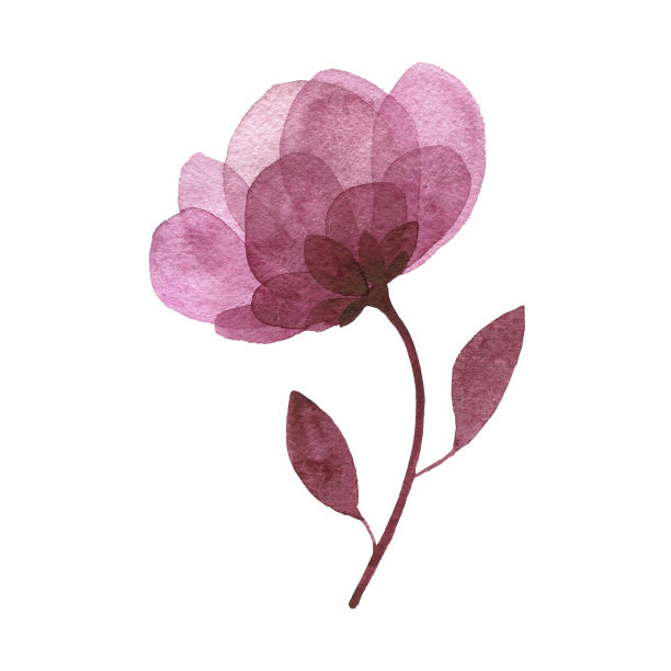 水彩花轮廓图片下载