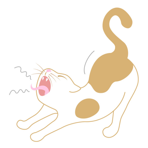 打哈欠的猫，孤立在白色的背景图片下载