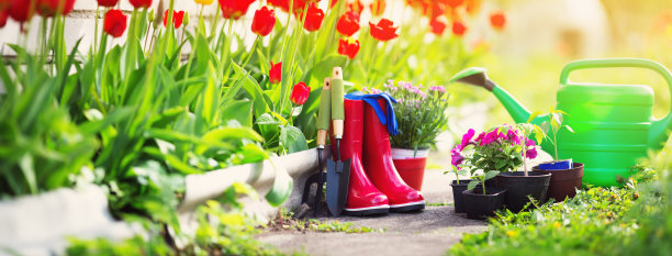 园艺图片素材ID：304033836