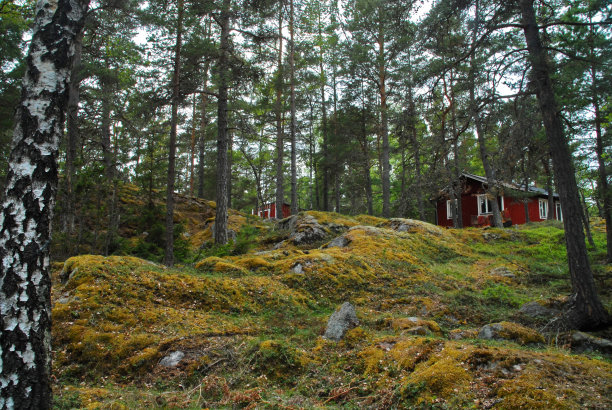 格林达岛上的红房子图片下载