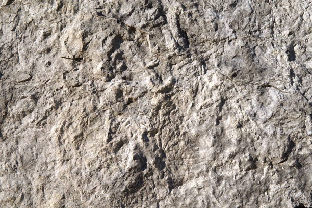 岩石横截面图片下载